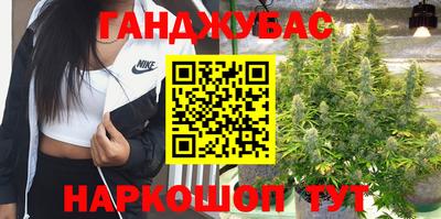 тгк Гусев